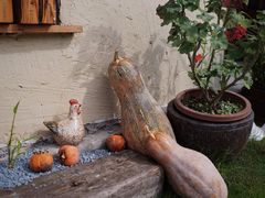 -东钱湖旅游度假区