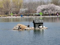 -太阳宫公园