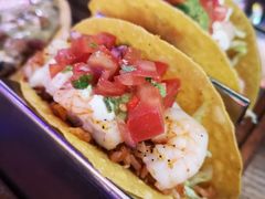 鲜虾脆皮塔克-Famous肥猫墨西哥音乐餐吧(五棵松华熙LIVE店)