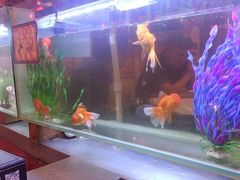 -粗粮人家·东北菜(洋桥店)