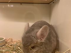 -龙猫仔乐园(惠福东路店)