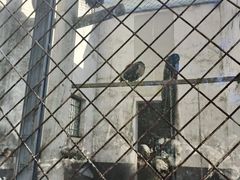 -青峰峡国家森林公园