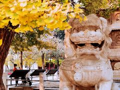 -北京石刻艺术博物馆(五塔寺)