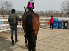 -月河湾马术俱乐部(朝阳店)