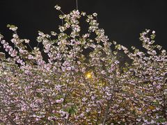 -辣得叫湘菜(四明店)