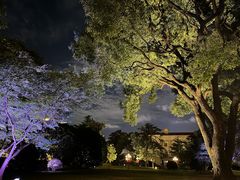 -上海兴国宾馆香樟园西餐厅