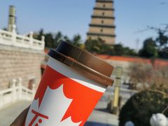 -Tims天好咖啡·贝果(雁展路万象天地店)