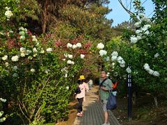 -铁山坪森林公园