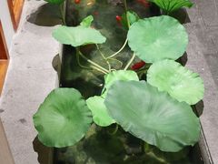-厨道重庆菜馆(鸳鸯店)