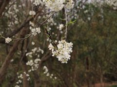 -仙海旅游度假区