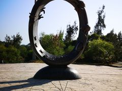 -广东惠东海龟国家级自然保护区