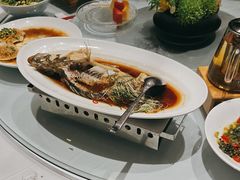 -沪碟·精菜坊(闵行店)
