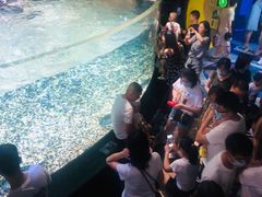 -成都浩海立方海洋公园