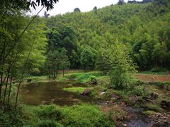 -千泷沟大瀑布旅游区