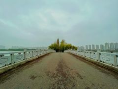 -洋湖国家湿地公园