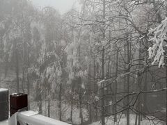 -四明山国家森林公园