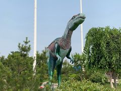 -诸城服务区-停车场