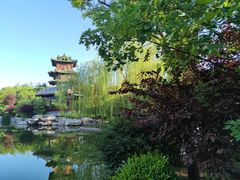 -迎泽公园