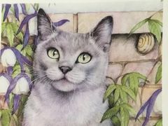 -八哥美术·成人美术画室(总校区)