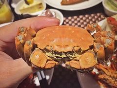 -339旋转餐厅(天府熊猫塔店)