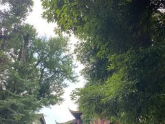 -清真.回香园(南街店)