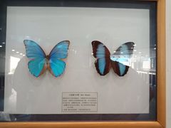 -老王头烤鸡(建大四小区店)