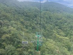 -张家界荷花国际机场