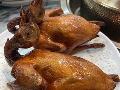 -鸽鸟轩(石岐店)