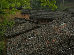 -杨家堂村