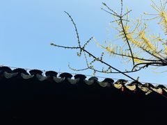 -黎里古镇