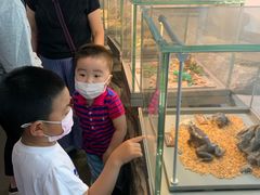 -自然博物馆新馆2楼餐厅