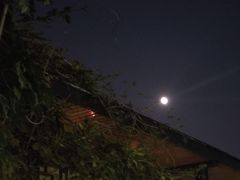 -天怡·鱼工厂(临江店)