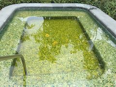 -广州都喜泰丽温泉度假酒店