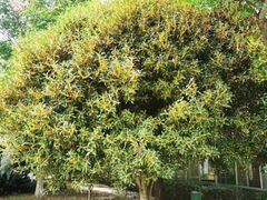 -金稼园·金平湖农家菜