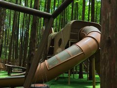 -山王坪喀斯特国家生态公园