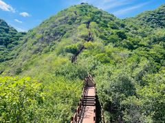 -大岭沟猕猴桃谷风景区