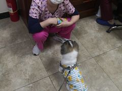 -美联众合动物医院·24h转诊中心