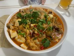 -煲来饱去冷水鱼