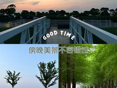 -春花秋色城市公园