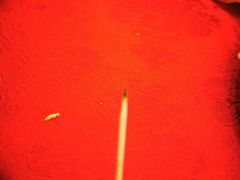 -大连富丽华大酒店