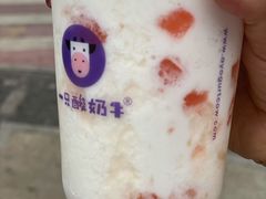 -一只酸奶牛(八一路店)