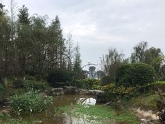 -铁山坪森林公园