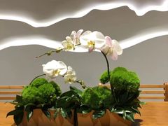 -荷兰布尔玛国际花艺学院