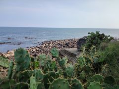 -硇洲岛旅游区