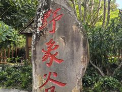 -野象谷景区