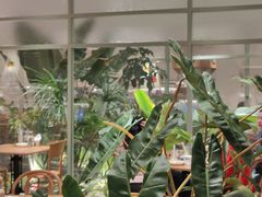 -The Good Place好地方·Brunch·coffee(国贸店)