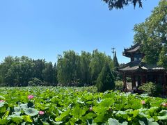 -莲池书院博物馆