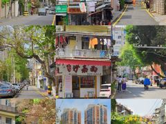 -溪岸路花鸟市场