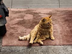 -LOOKA COFFEE(大鹏所城店)