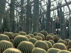 -南山植物园